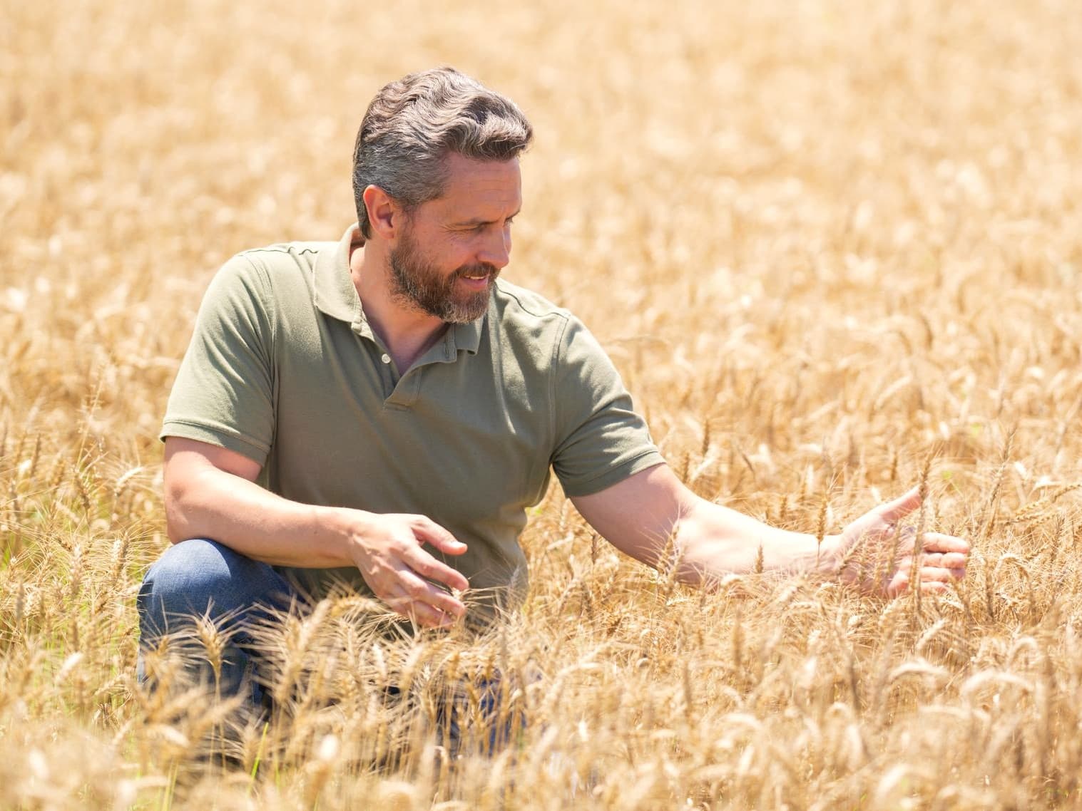 Unsere Werte – Landwirt.ai steht für Naturschutz, Tierwohl und Fortschritt