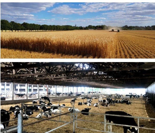 Agrarbetriebe Schliebener Land
